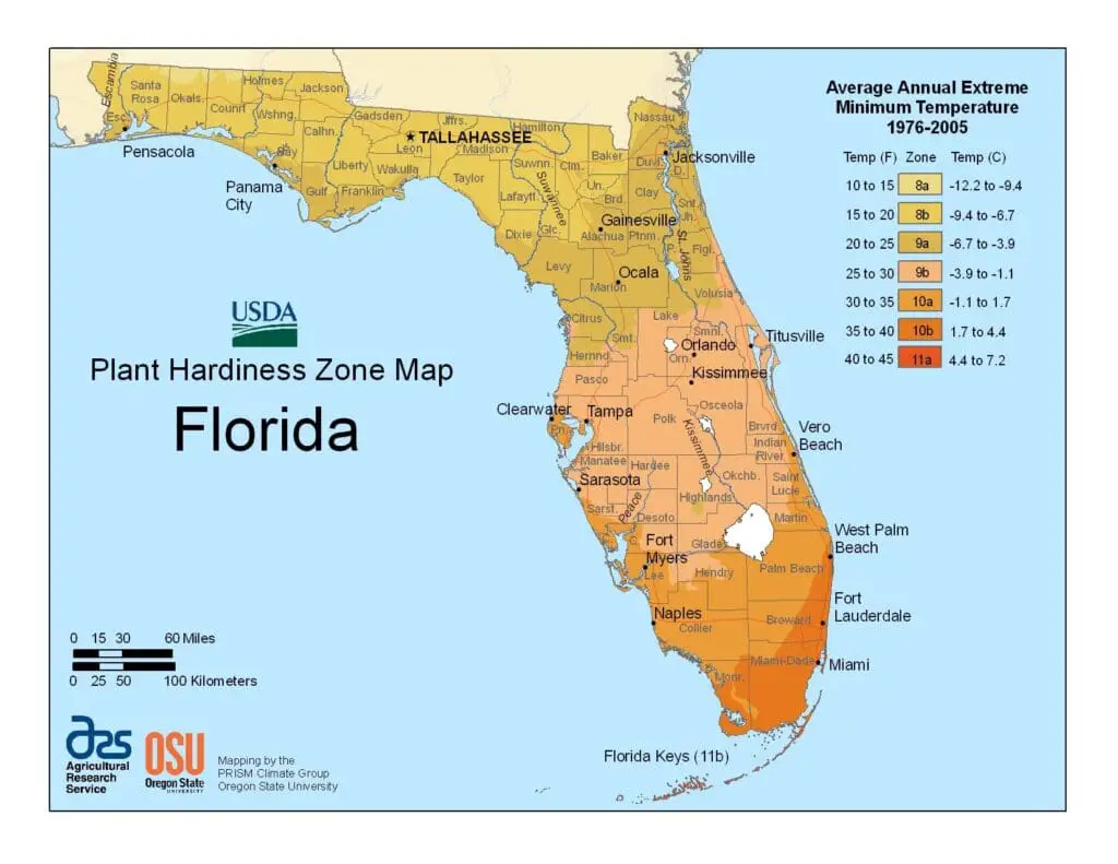 Plant Hardiness Zone Map - Florida (USDA)