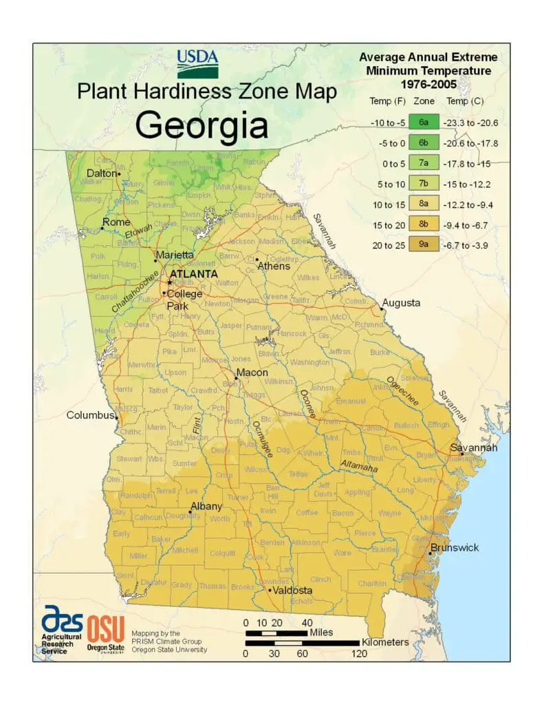 Plant Hardiness Zone Map - Georgia (USDA)