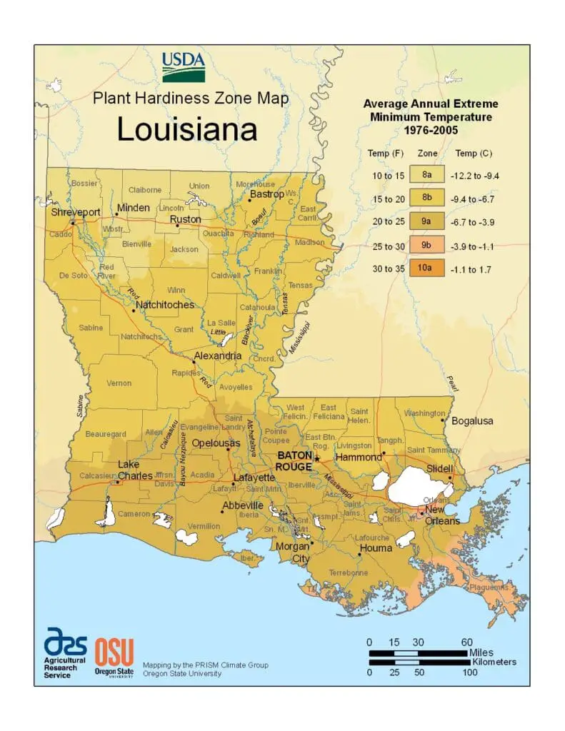 Plant Hardiness Zone Map - Louisiana