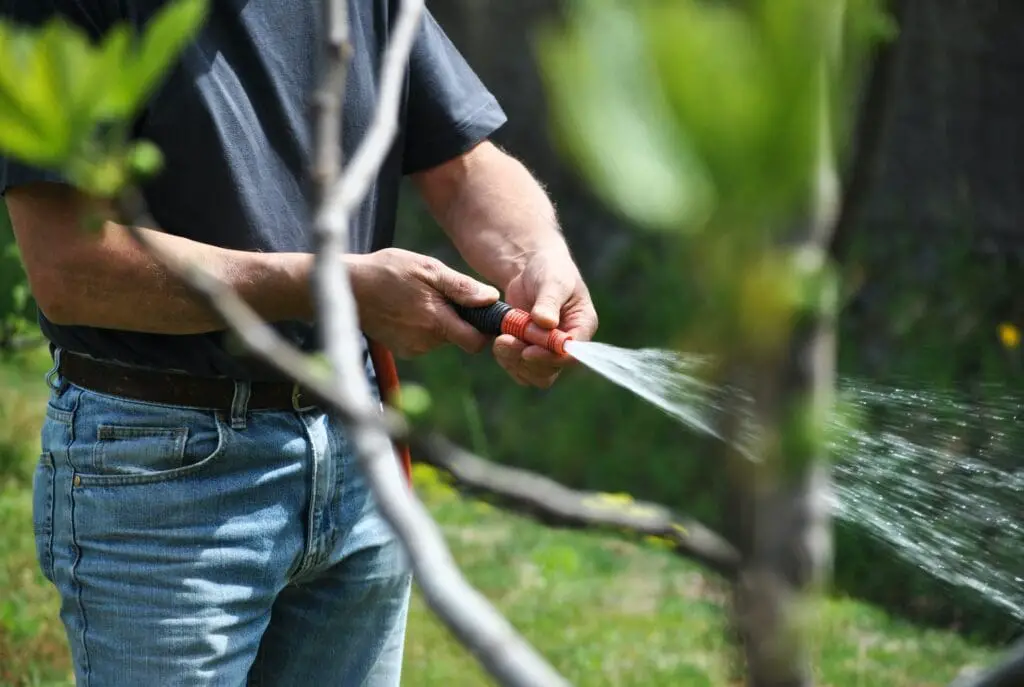 garden hose, watering