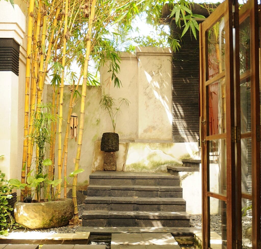 bamboo growing in a pot in a paved courtyard